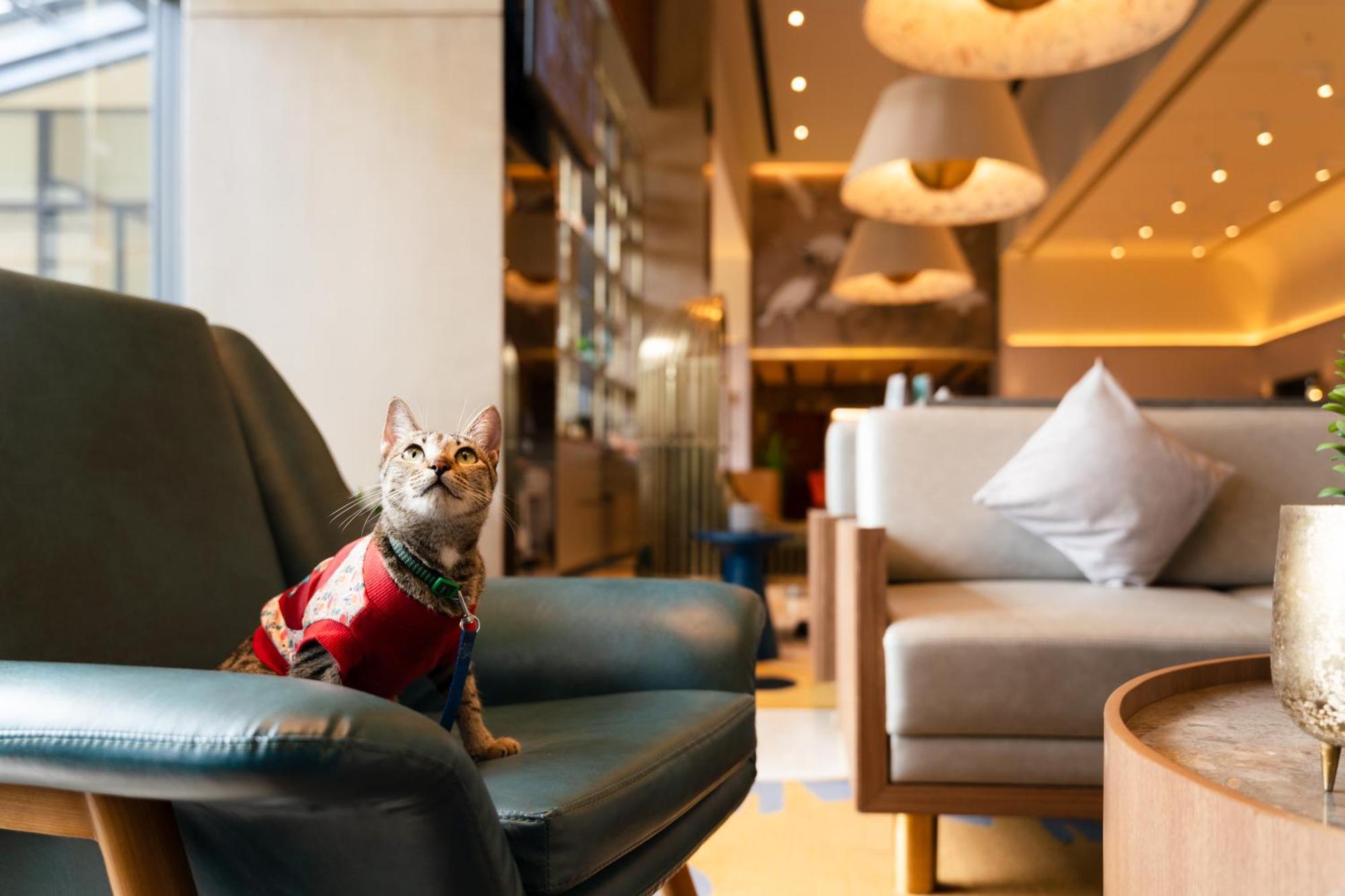 Ibis Styles Mysuru Ξενοδοχείο Εξωτερικό φωτογραφία